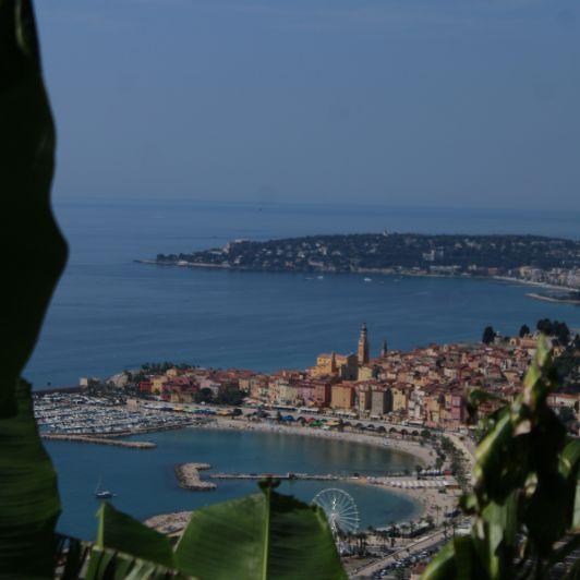 Quand Boston rencontre Menton : le Citron de Menton s’envole vers les États-Unis