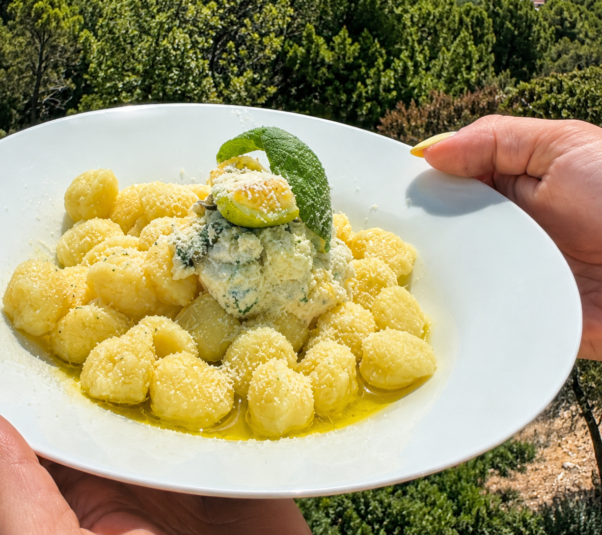 Gnocchetti sauce ricotta et Citron de Menton IGP confit