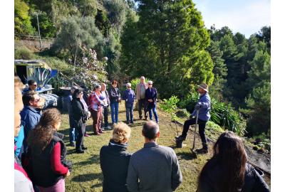 Comment planter un citronnier en pleine terre