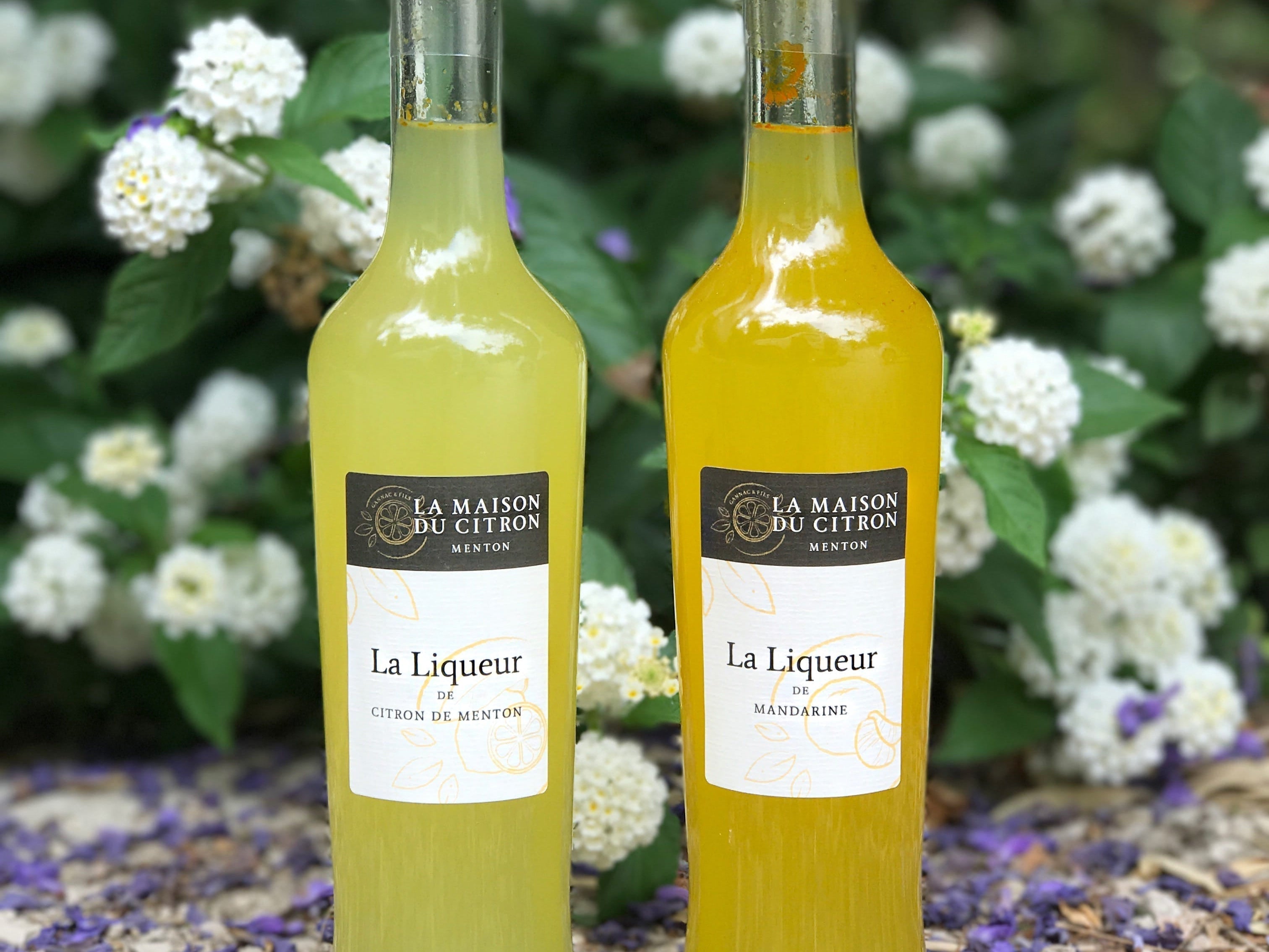 Des créations artisanales : les liqueurs BIO Maison Gannac