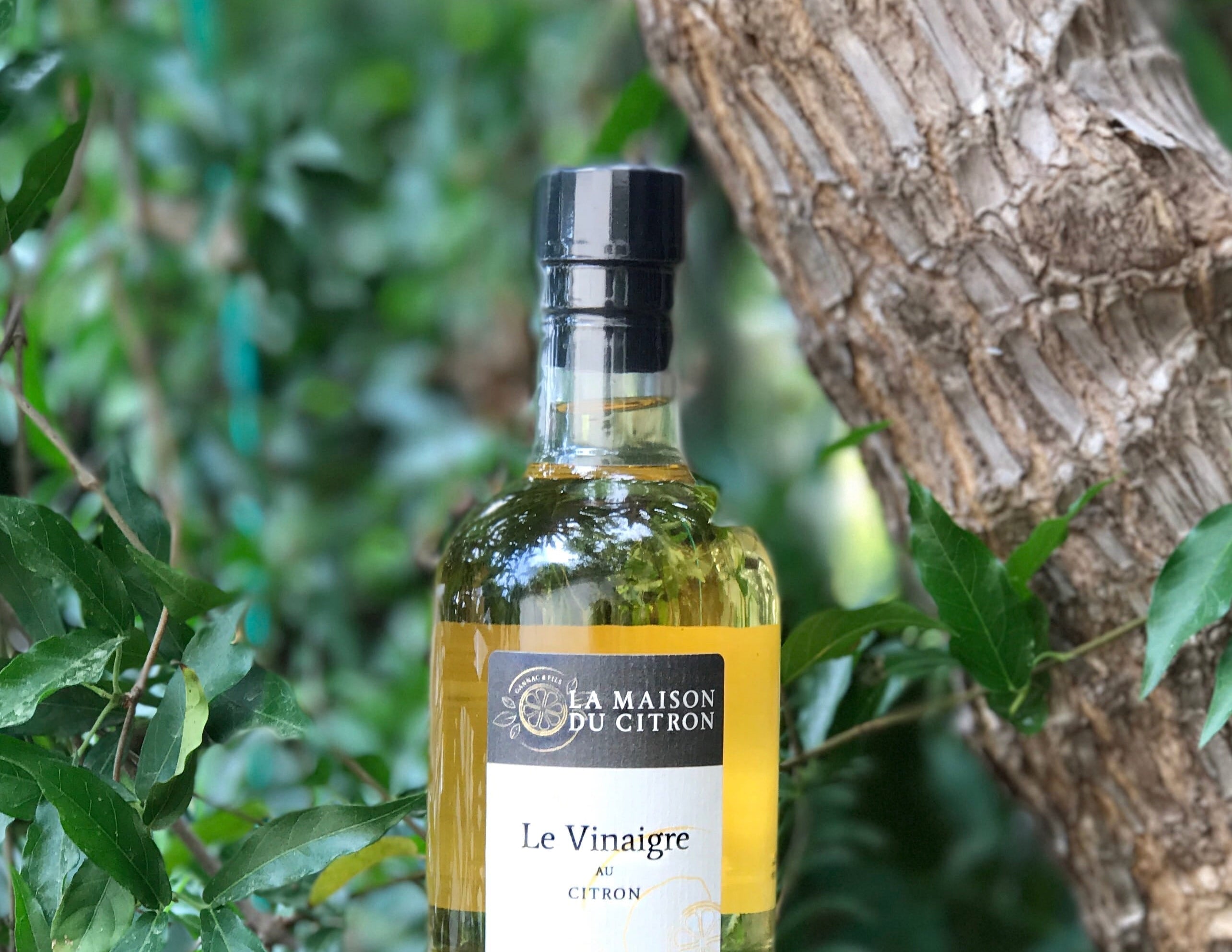 Des créations artisanales : le vinaigre BIO au citron de menton IGP