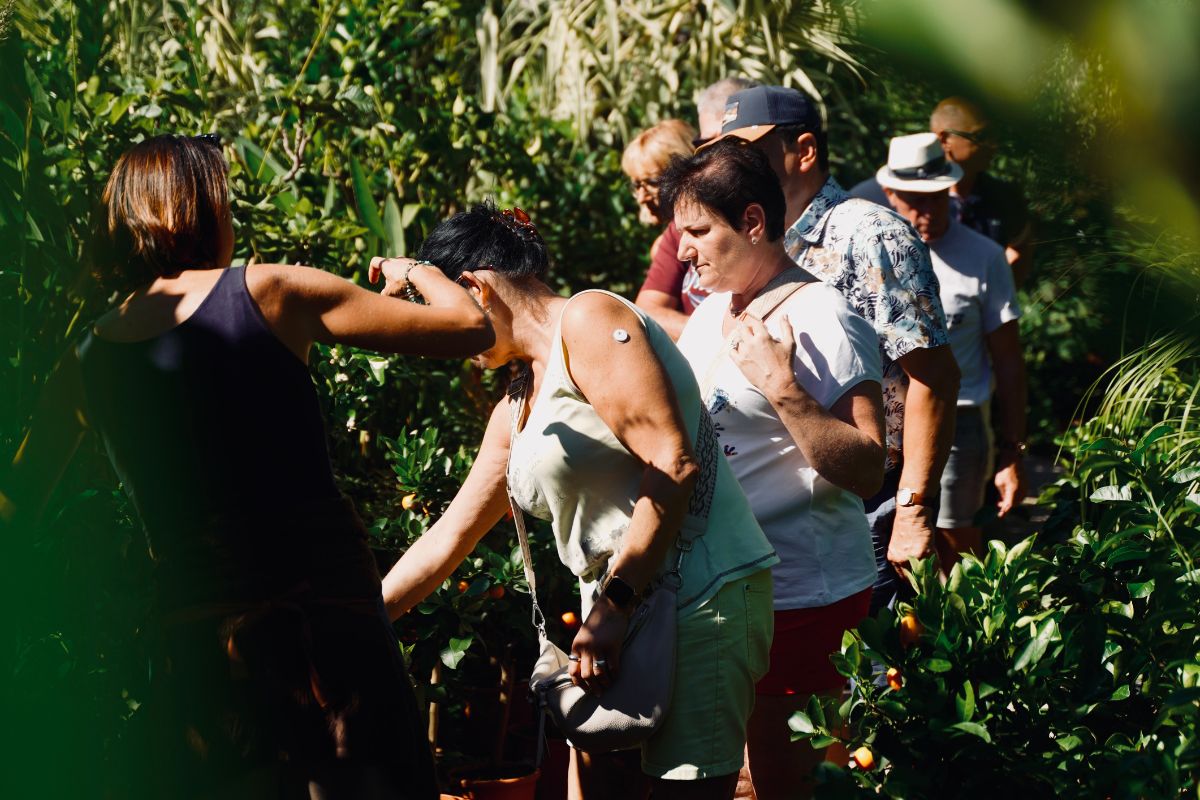Fête du Citron® 2026 : Réservez vos activités au Domaine Gannac