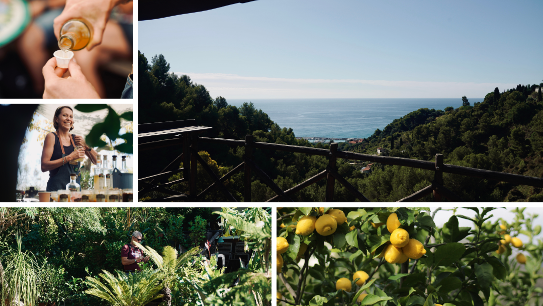 Domaine Gannac : vivez l'expérience du Citron de Menton IGP au coeur de son terroir