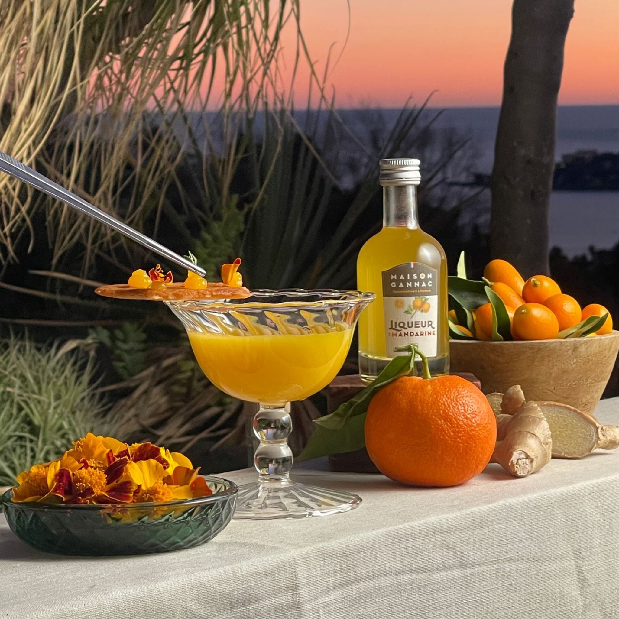 Marigold : l’élégance solaire d’un cocktail signature à la Liqueur BIO de Mandarine Maison Gannac