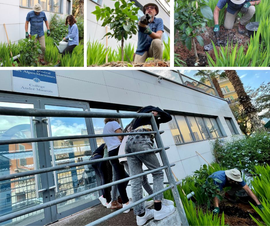 Menton : La Maison du Citron offre un citronnier au collège André-Maurois