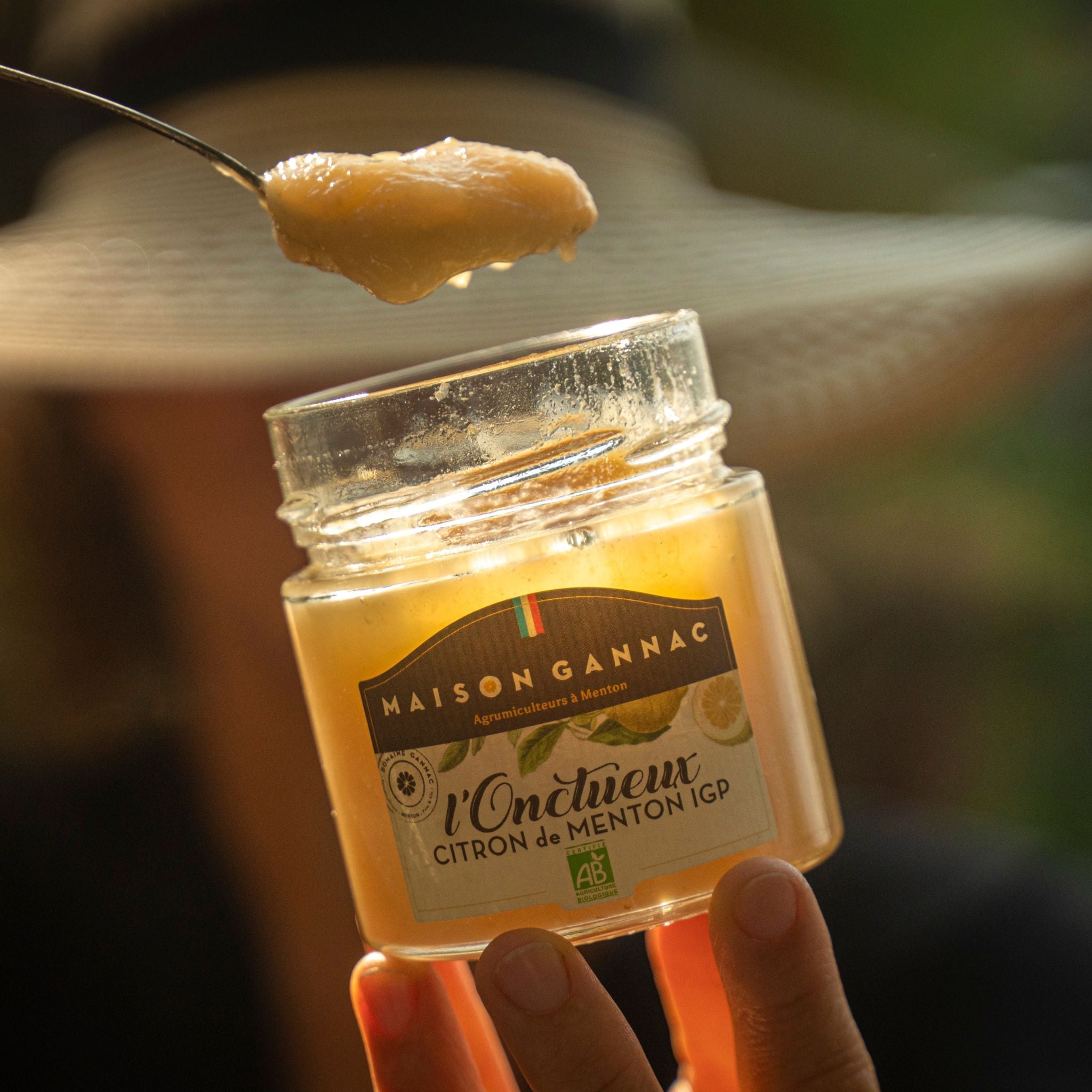 Recette : Gâteau moelleux à la crème fraîche et Citron de Menton IGP BIO