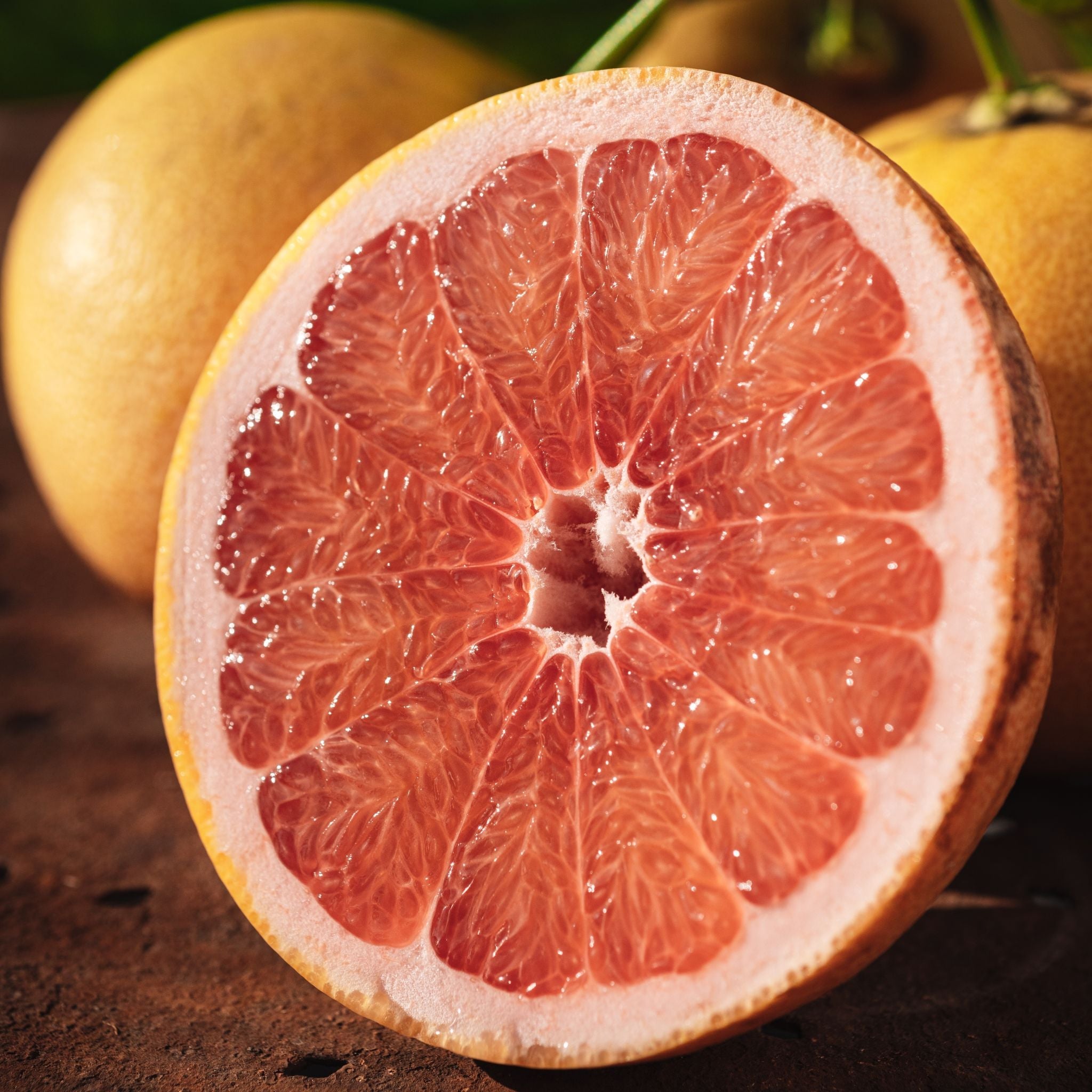 Pamplemousse : un sirop BIO, 5 cocktails