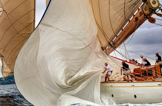 Voiles d'Antibes : dégustez les produits de la Maison du Citron pendant les régates