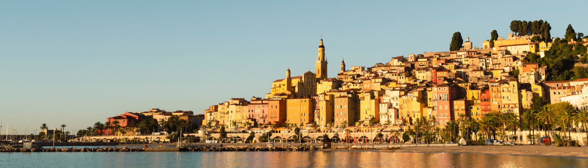 Citron de Menton