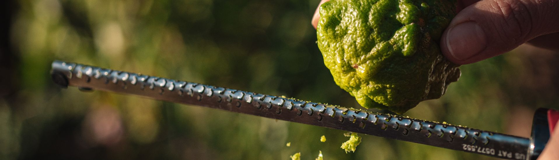 Fruits bio