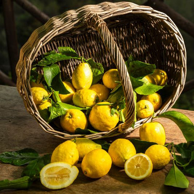 Citron BIO de nos vergers (origine : MENTON)