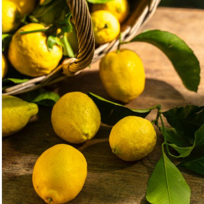 Citron BIO de nos vergers (origine : MENTON)