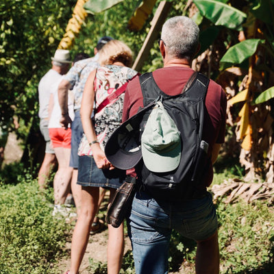 Une visite guidée pour deux personnes au Domaine Gannac