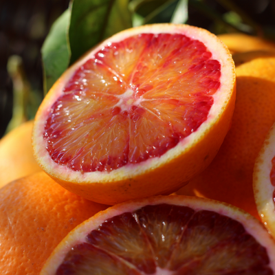 Orange Sanguine BIO