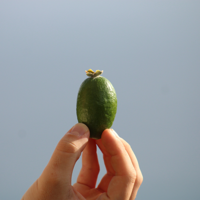 Feijoa - 2kg