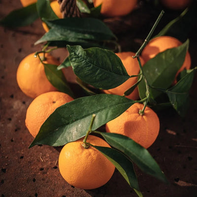 Orange Douce BIO