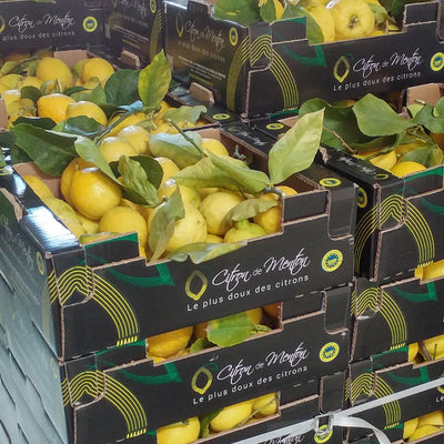 Citron de Menton IGP 8 kg