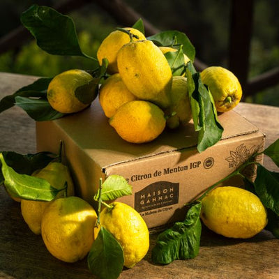 Citron de Menton IGP BIO