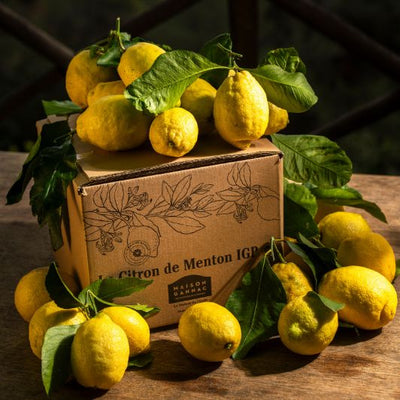 Citron de Menton IGP BIO