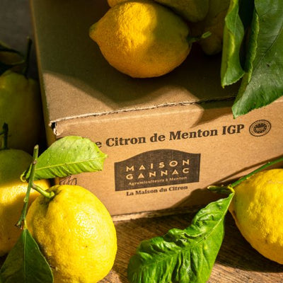 Citron de Menton IGP BIO