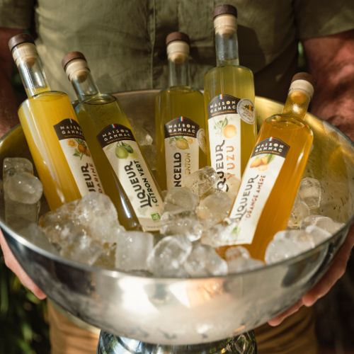 BOISSONS & LIMONCELLO 