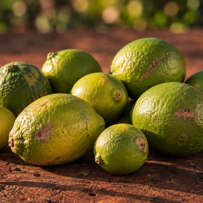 Citron vert BIO (Lime de Tahiti) | Second choix