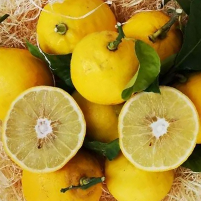Bergamote BIO 500 g