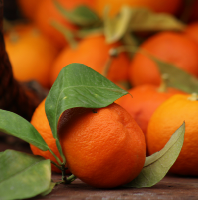 Orange Amère BIO (bigarade)