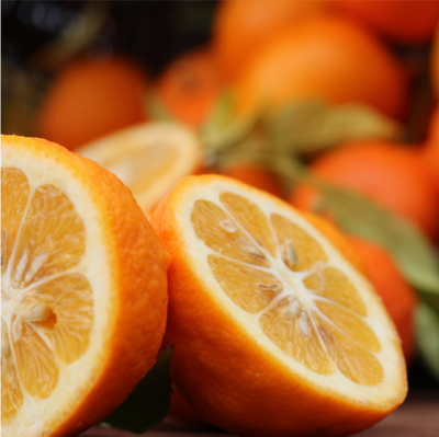 Orange Amère BIO (bigarade)