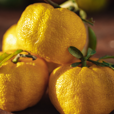 Yuzu BIO