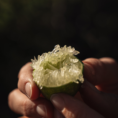 Citron caviar BIO (faustrime)