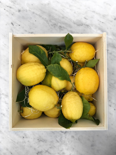 Citrons de Menton IGP BIO 2 kg