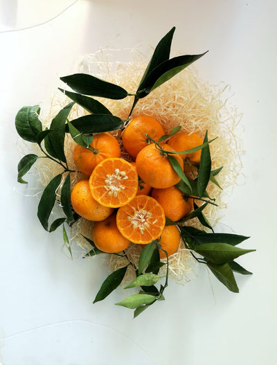 Mandarines BIO 4,5 kg