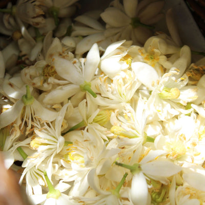 Liqueur de fleurs de bigaradier