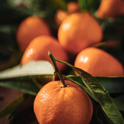 Mandarine BIO
