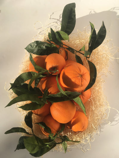 Oranges Douces BIO 4,5 kg
