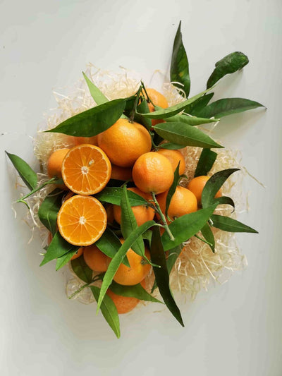 Clémentines 4,5 kg