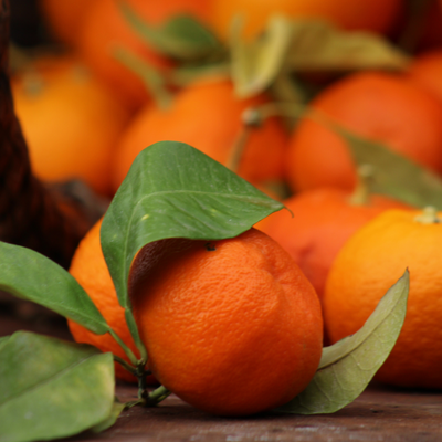 Orange amère BIO (bigarade)