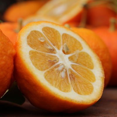 Orange amère BIO (bigarade)