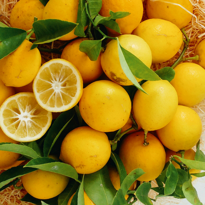 Citrons Meyer BIO 4,5 kg