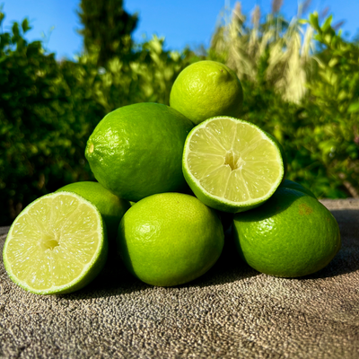 Citron Vert bio - Lime de Tahiti