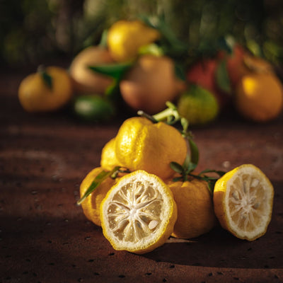 Yuzu BIO