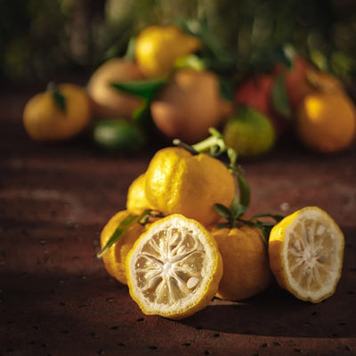 Yuzu BIO