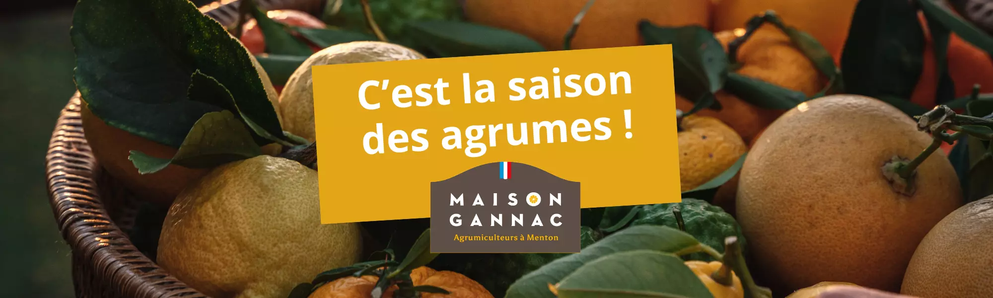 Mignonnette de rhum arrangé au citron de Menton 31% - Maison Gannac