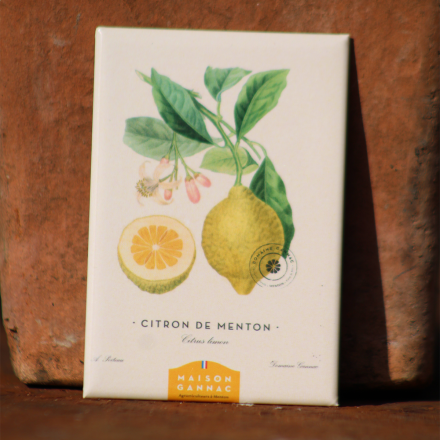 Magnet Citron de Menton