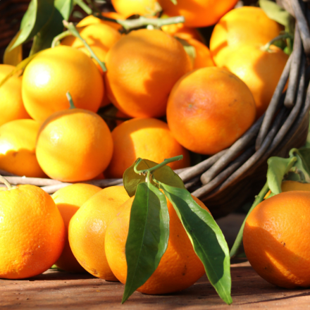 Oranges Sanguines  - 2kg