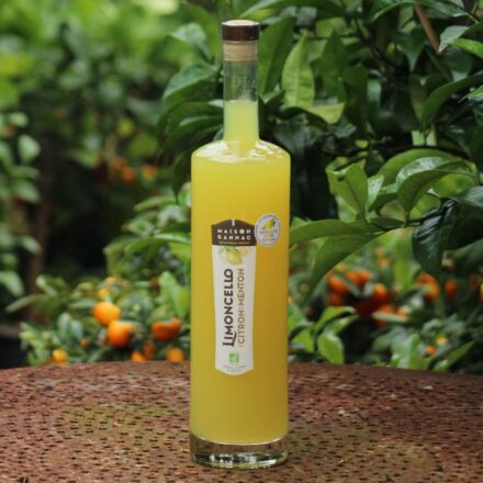 Magnum Limoncello BIO au Citron de Menton