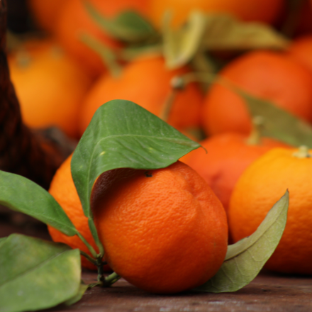 Oranges Amères BIO (Bigarade) - 4,5kg