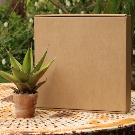 Coffret simple en carton vide 