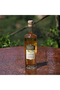 Apéritif Vin au Citron de Menton et Gingembre